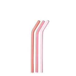 FAIRYTALE PINKS LITTLE BOTTLE STRAWS 500ML (16 OZ) SET OF THREE