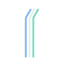 SOUTHAMPTON BIG BOTTLE STRAWS 1L (32OZ) SET OF THREE